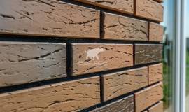 Фламандия 150