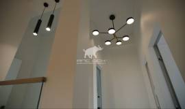 Фламандия 150