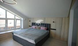 Фламандия 150