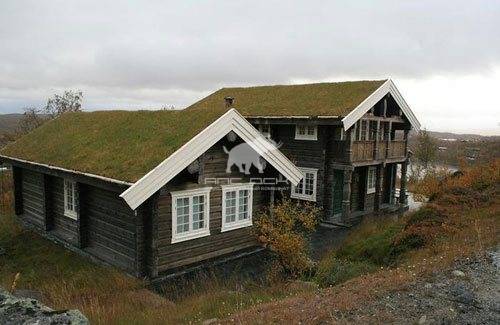 "Зеленая крыша"