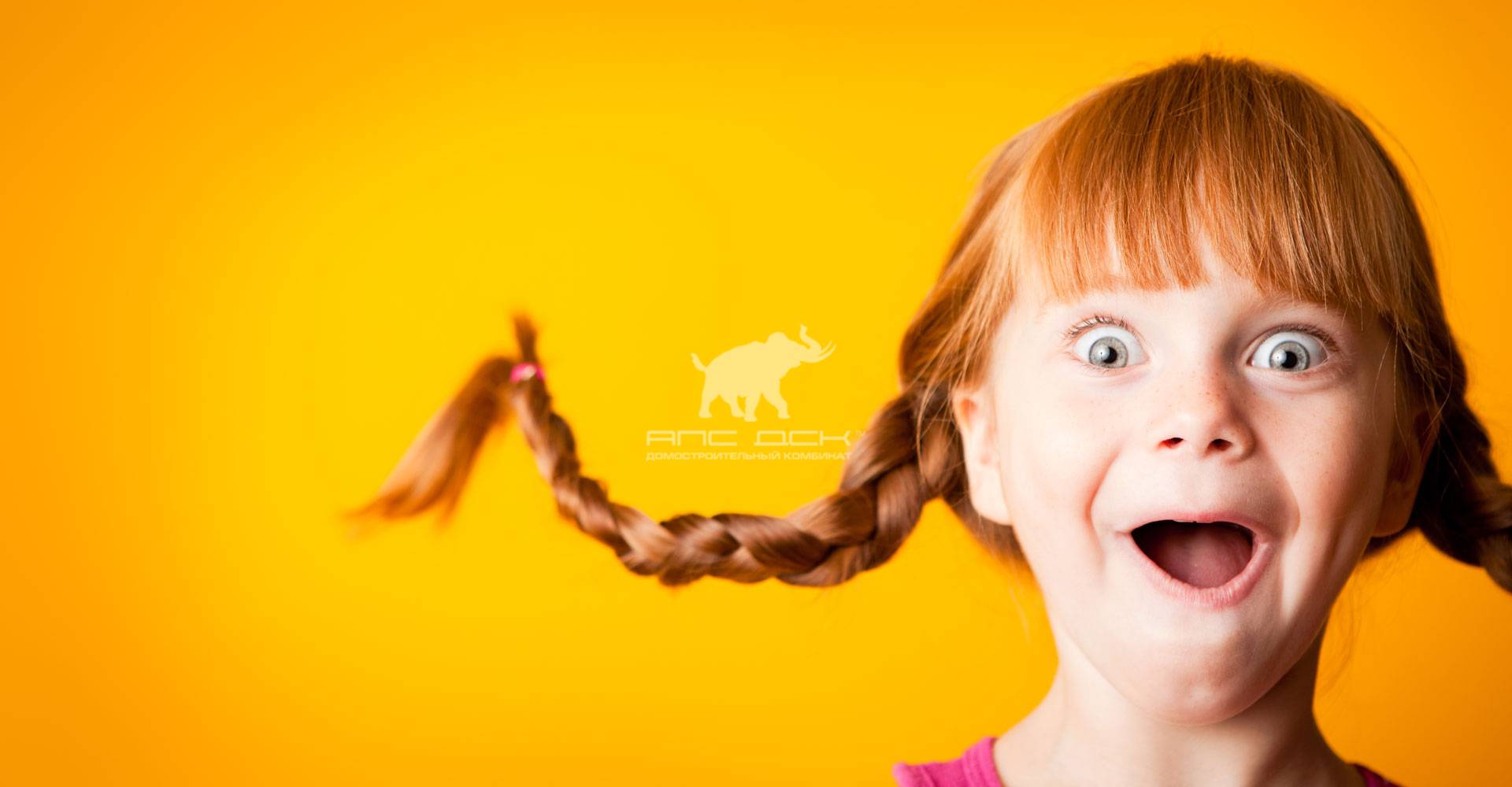 Новый сертификат соответствия